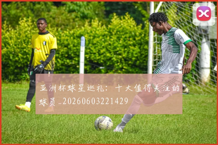 亚洲杯球星巡礼：十大值得关注的球员_20260603221429