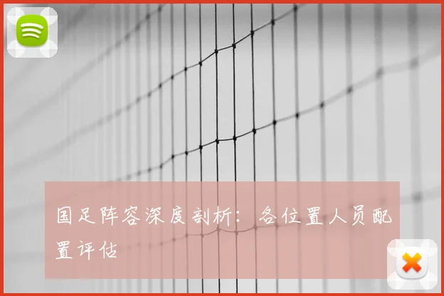 国足阵容深度剖析：各位置人员配置评估