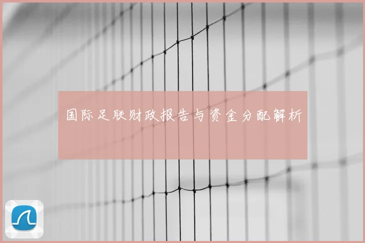 国际足联财政报告与资金分配解析