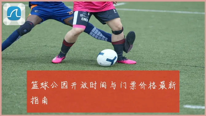 篮球公园开放时间与门票价格最新指南
