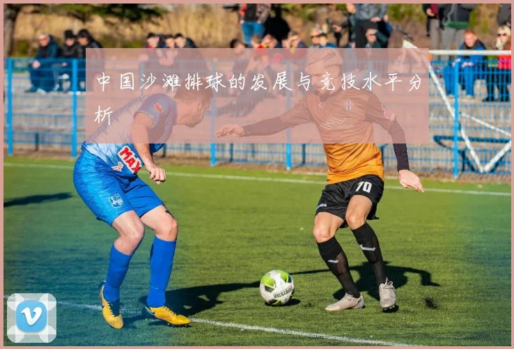 中国沙滩排球的发展与竞技水平分析