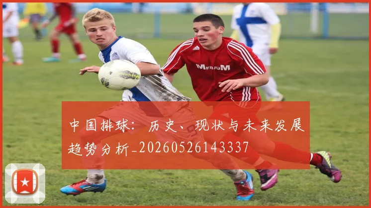 中国排球：历史、现状与未来发展趋势分析_20260526143337